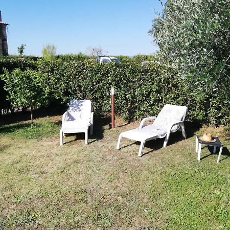 L'Aia Degli Olivi Apartment Vada Luaran gambar