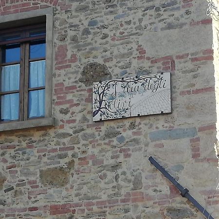 L'Aia Degli Olivi Apartment Vada Luaran gambar