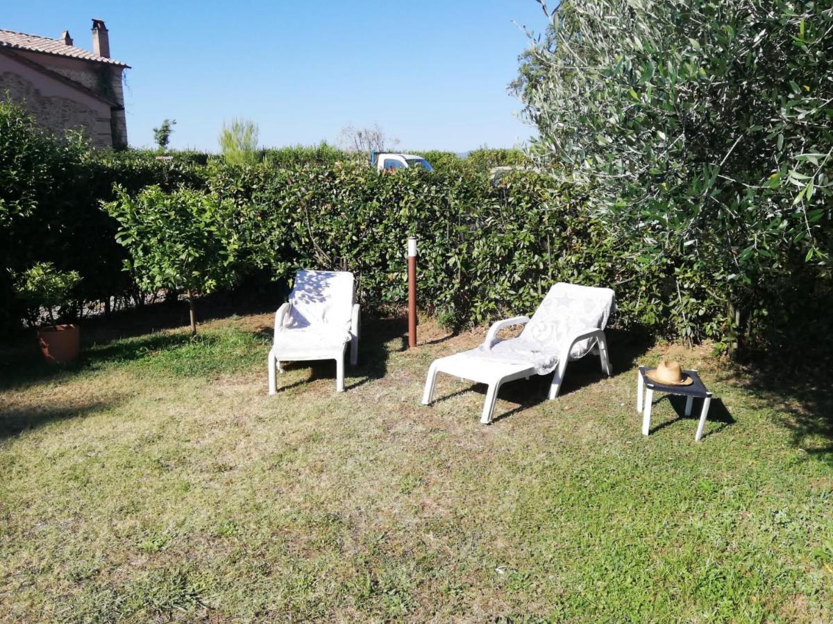 L'Aia Degli Olivi Apartment Vada Luaran gambar