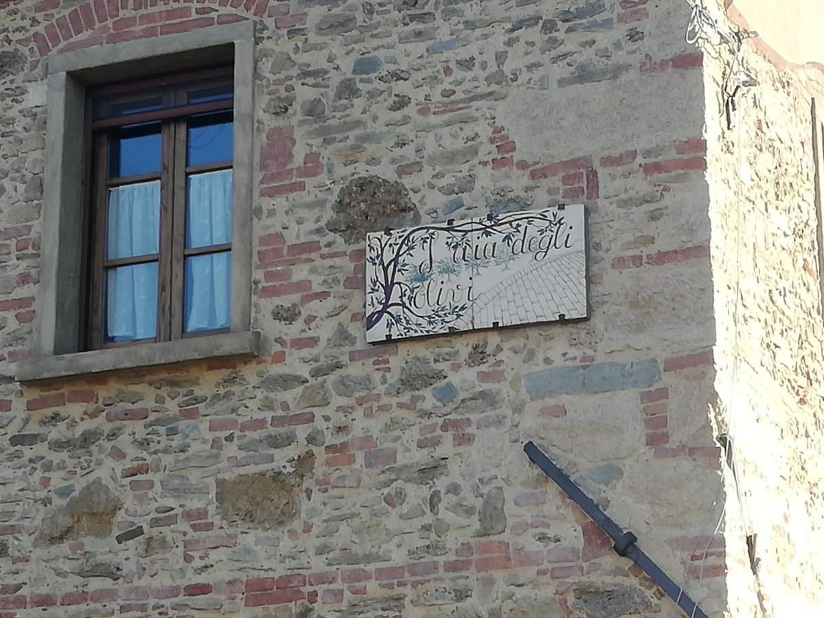 L'Aia Degli Olivi Apartment Vada Luaran gambar